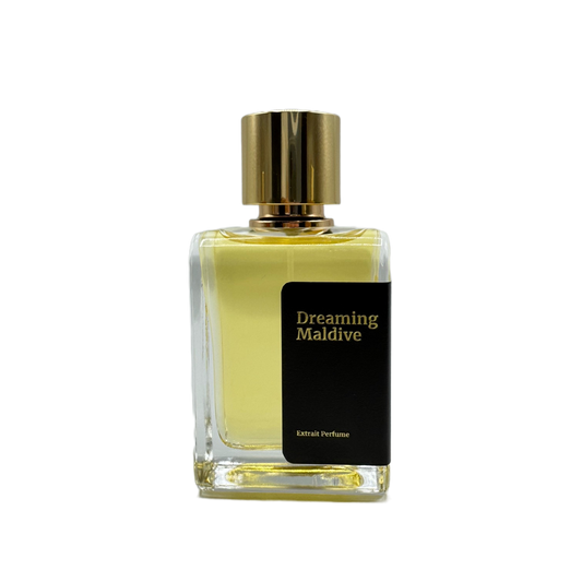 Dreaming Maldive