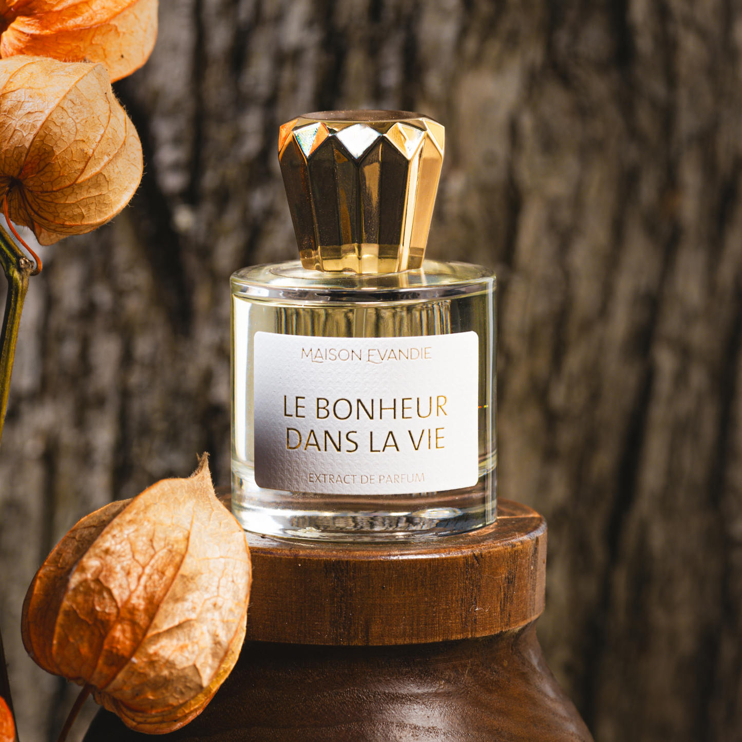 Le Bonheur Dans La Vie