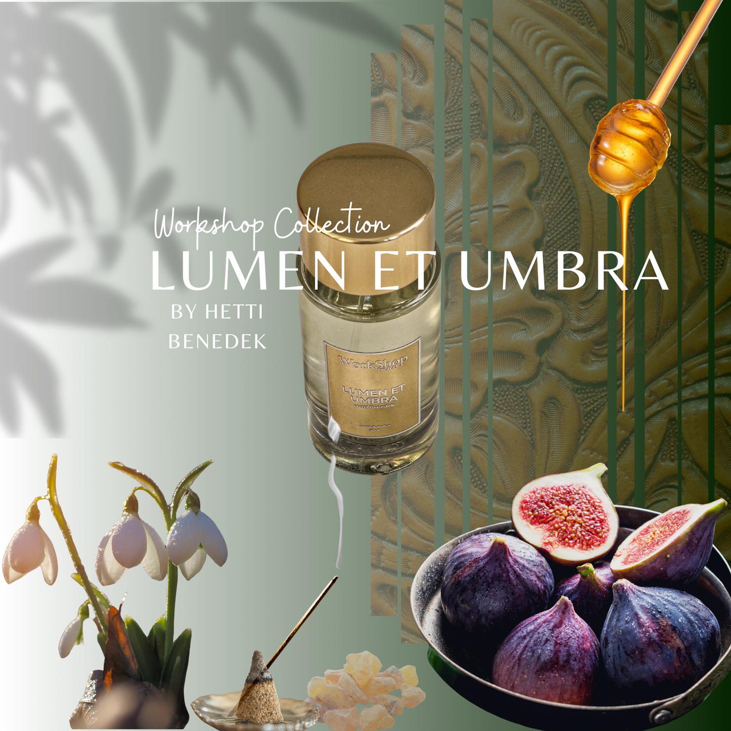 Lumen et Umbra
