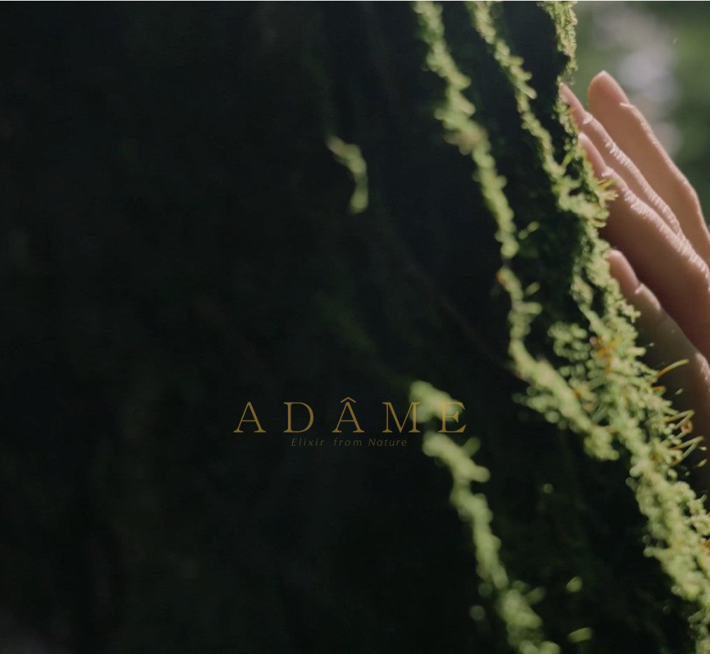 Adame Fragrance Collection