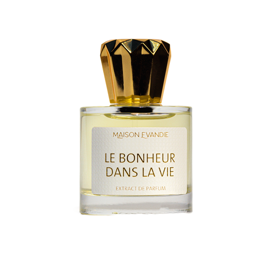 Le Bonheur Dans La Vie